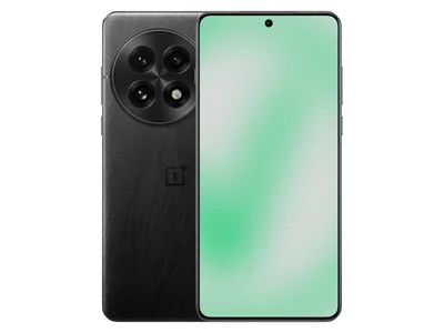 OnePlus 13