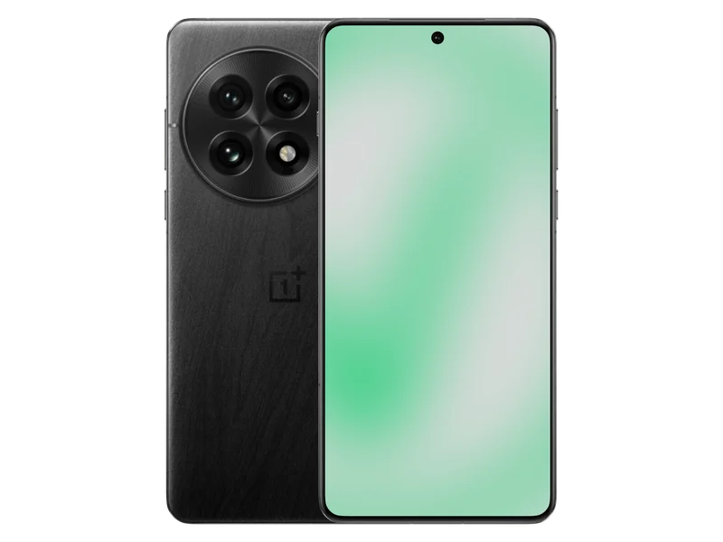 OnePlus 13